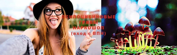 не бодяженный Арсеньев