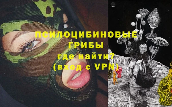 не бодяженный Арсеньев